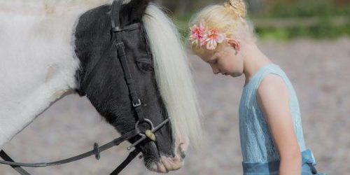 Belle-cob-child-horse-photographer – Emma Lowe Photography in Derbyshire Belle-cob-child-horse-photographer - Emma Lowe Photography in Derbyshire