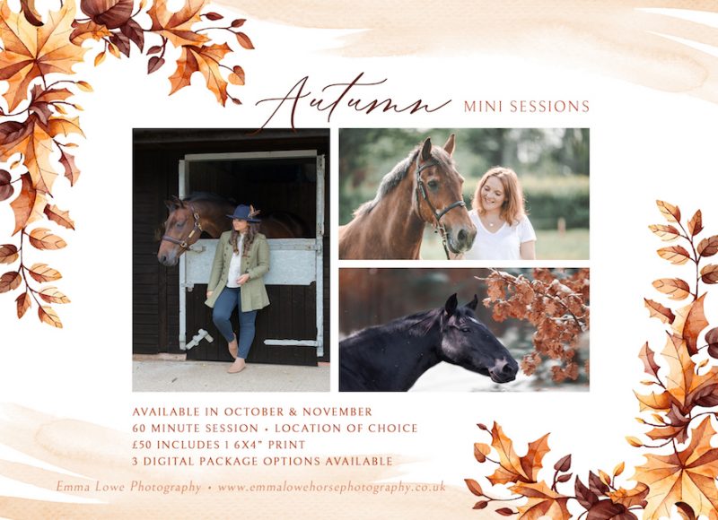 Autumn Mini Sessions Horse Photography in Rugby