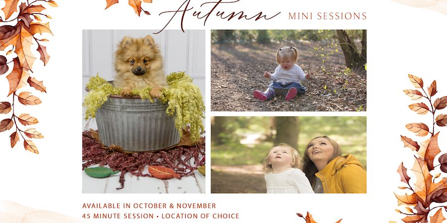 Emma Lowe Photography Autumn Mini Sessions 2019