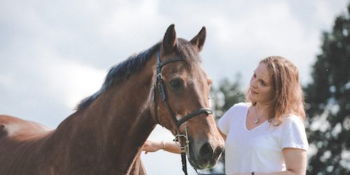 Hattie-Basil-Horse-photography-Rugby-500x333px Hattie-Basil-Horse-photography-Rugby