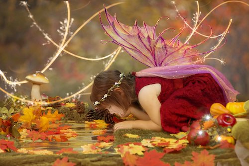 ROSE-FAIRY-PIC-500x333 Fairy Photography Session Emma Lowe Photography