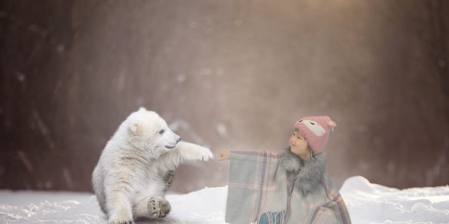 Rose with her Polar Bear christmas mini shoot Rugby photographer Emma Lowe Photography BLOG