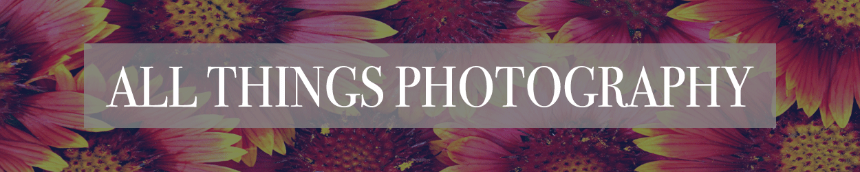 Professional Photographer in Rugby - Emma Lowe - Blogs
