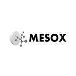 MESOXlogo