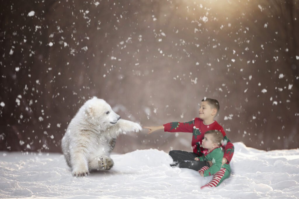 Emma Lowe Photography Christmas Mini Photoshoot Polar Bear Brothers