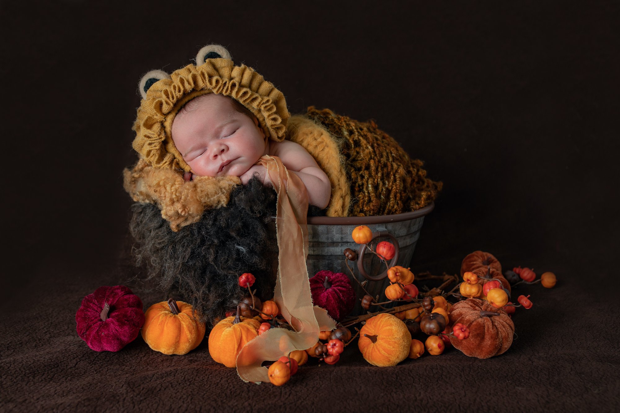 Autumn Colours Newborn Photographer Emma Lowe Photography